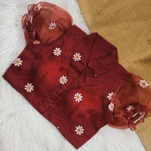Organza shirt collar blouse | collar neck front open | pure Silk