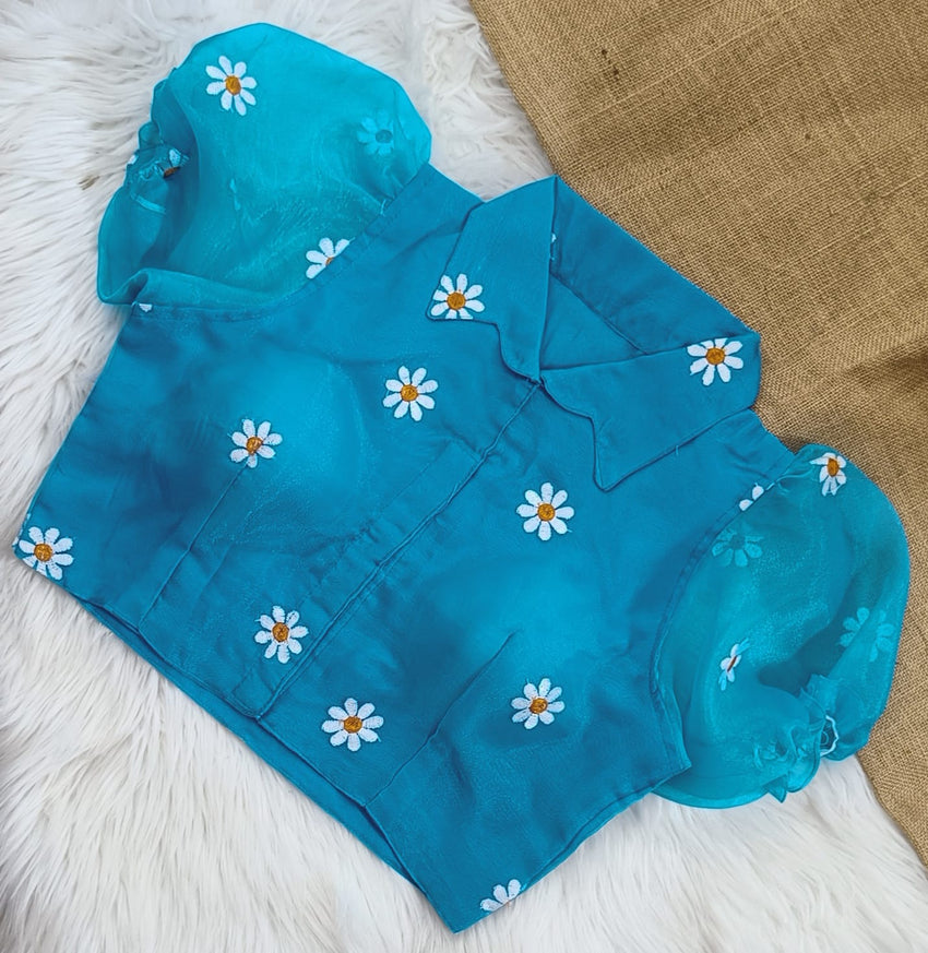 Organza shirt collar blouse | collar neck front open | pure Silk