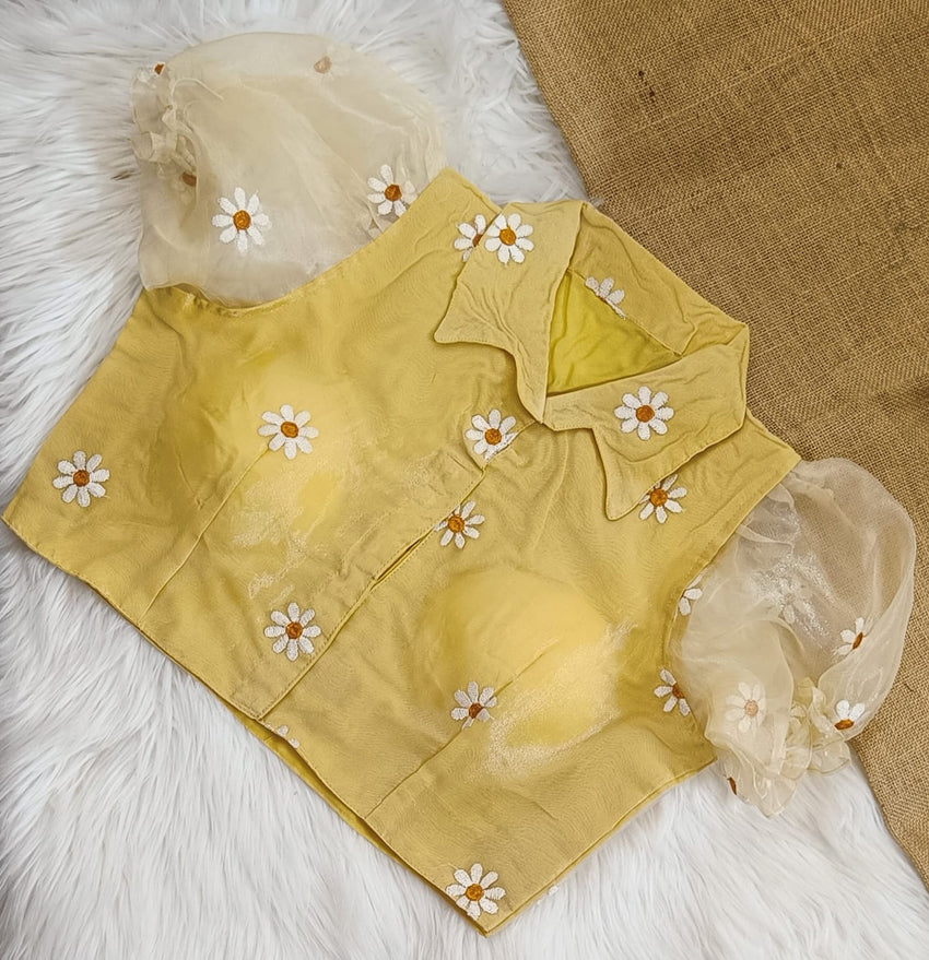 Organza shirt collar blouse | collar neck front open | pure Silk