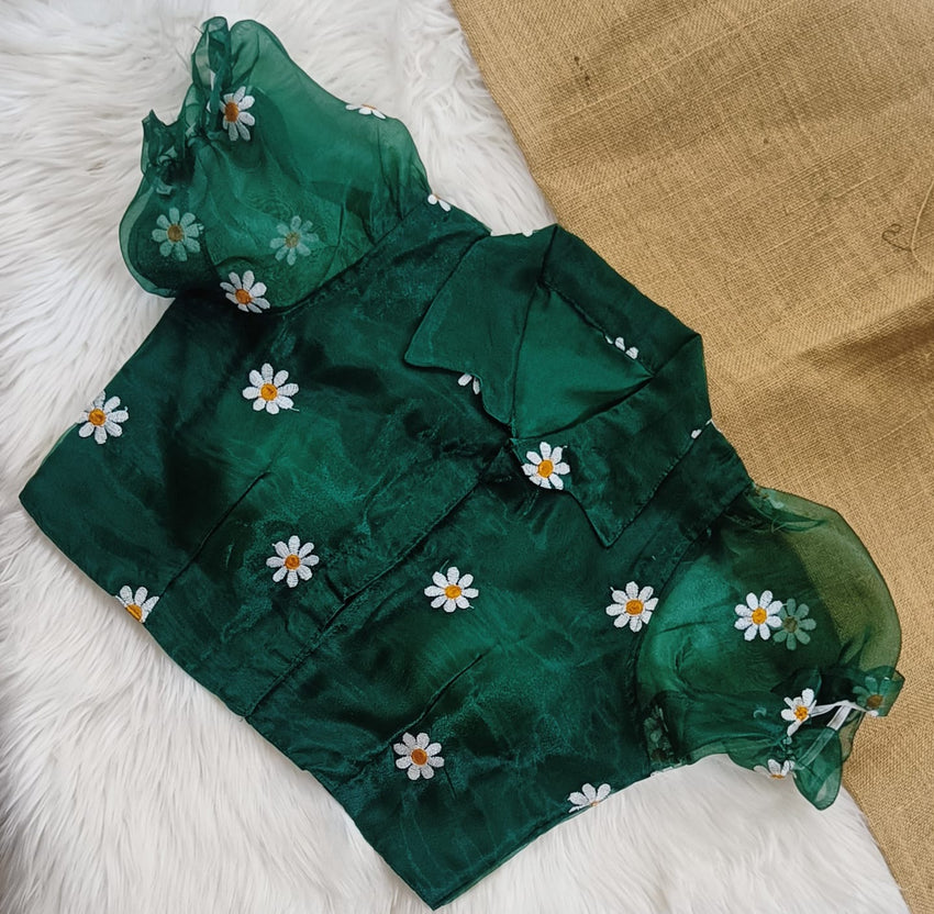 Organza shirt collar blouse | collar neck front open | pure Silk