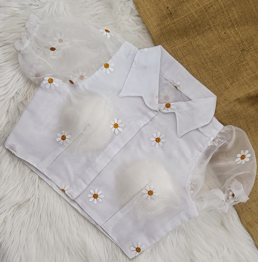 Organza shirt collar blouse | collar neck front open | pure Silk