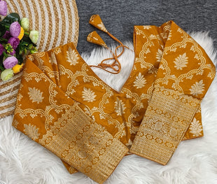 Dola Banarasi long sleeve Blouse